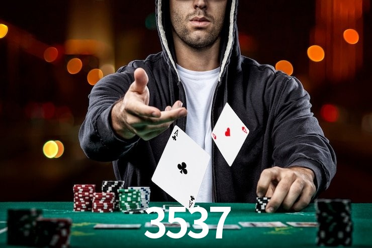 3537,3537.com